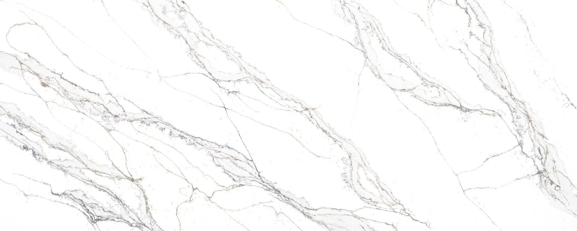 Unique Calacatta Macchia Vecchia