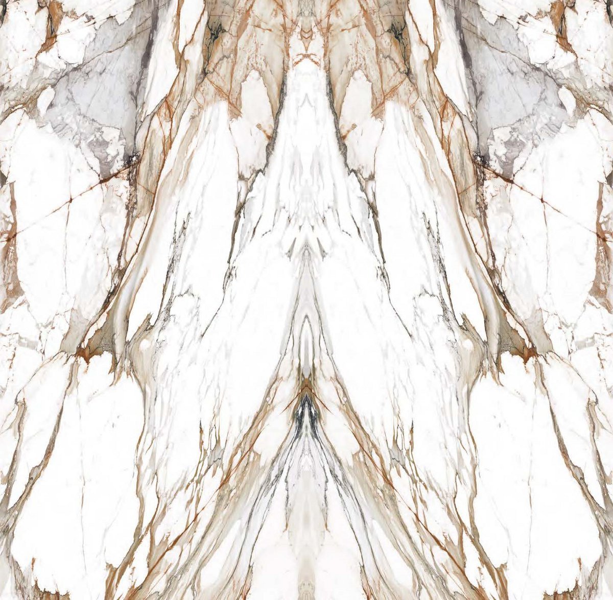 Macchia Vecchia Bookmatch