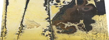 Terrain