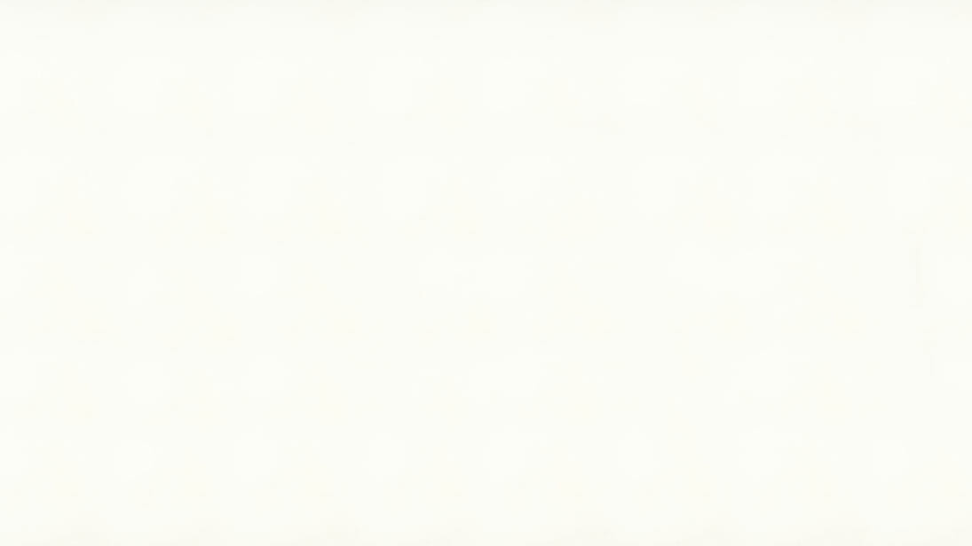 Vivid White 1111