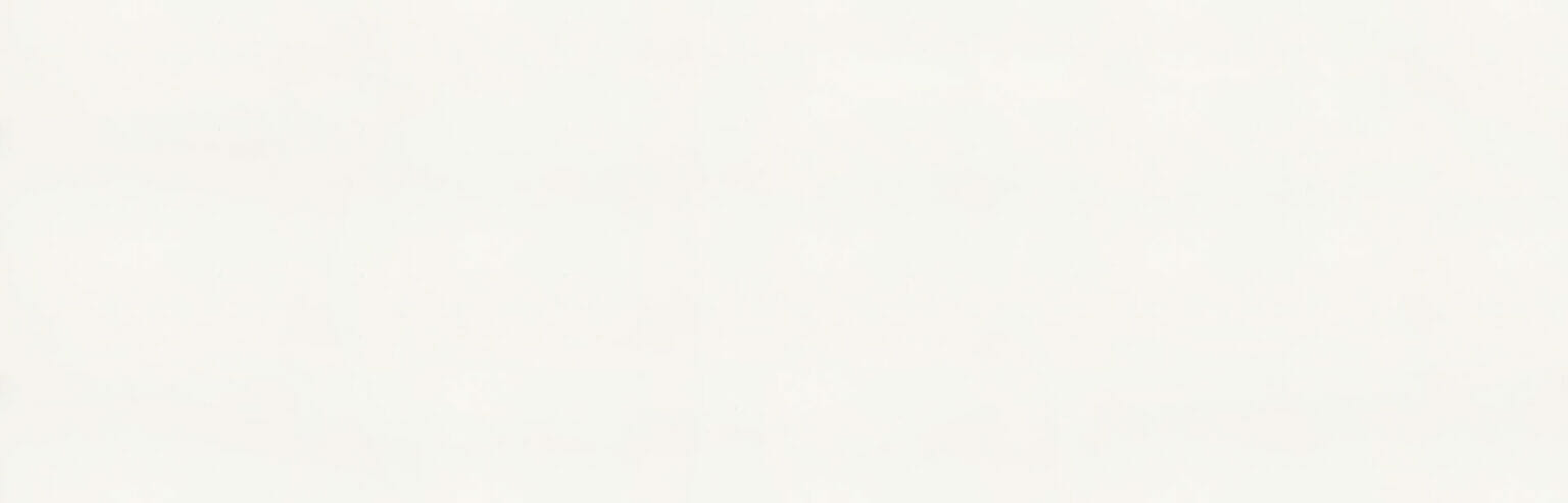 Pure White 1141