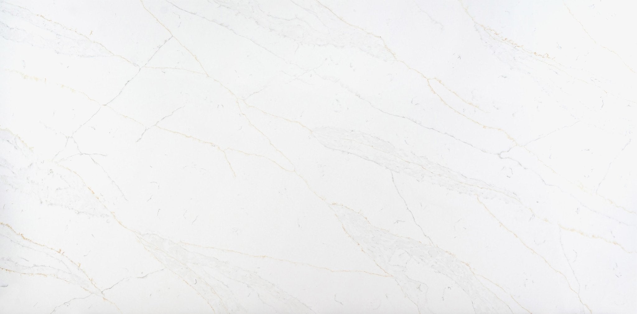 (NEW) Calacatta Delicato