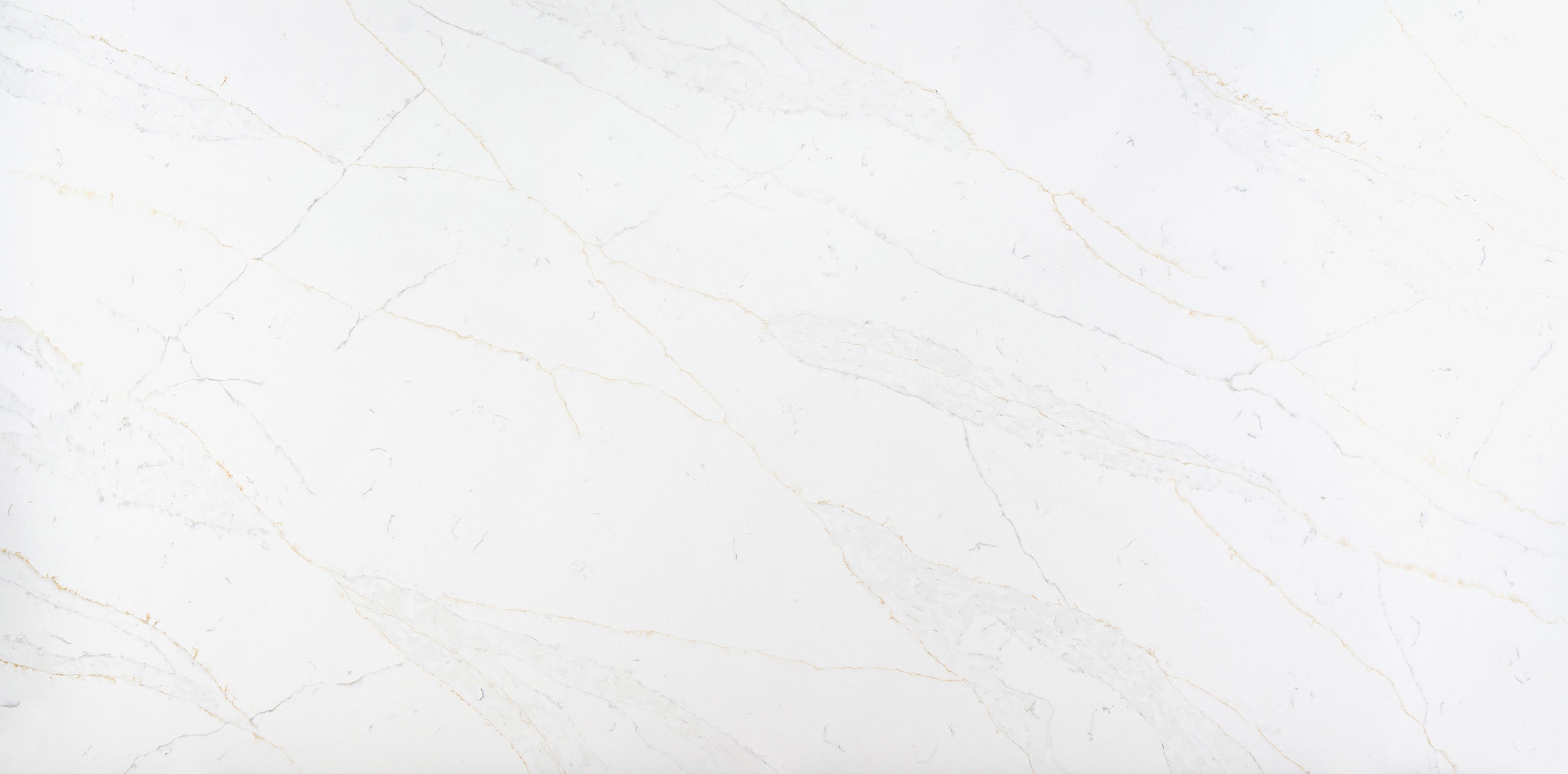 (NEW) Calacatta Delicato