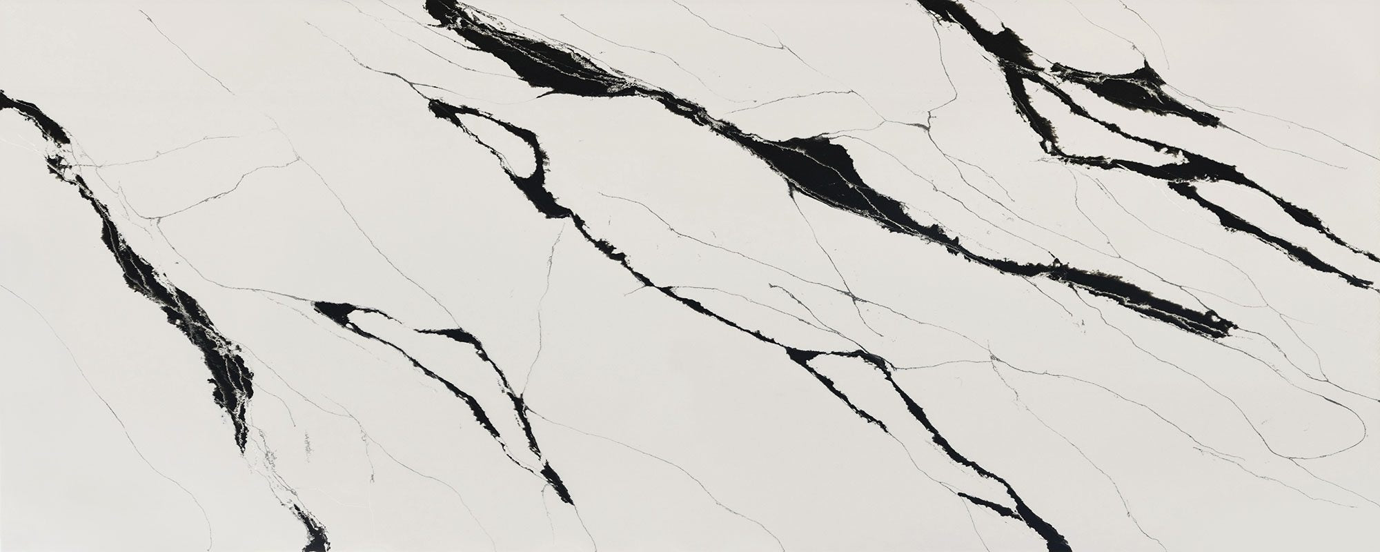 Unique Calacatta Black