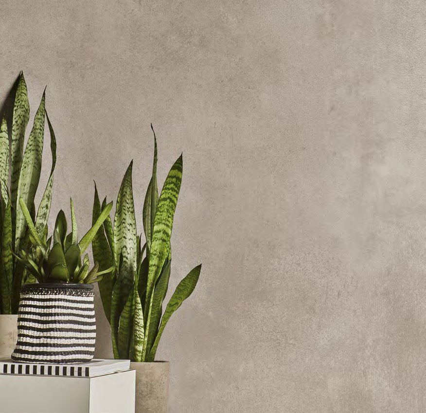 Taupe (Concrete)
