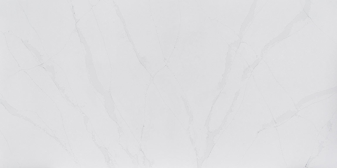 (NEW) Odina