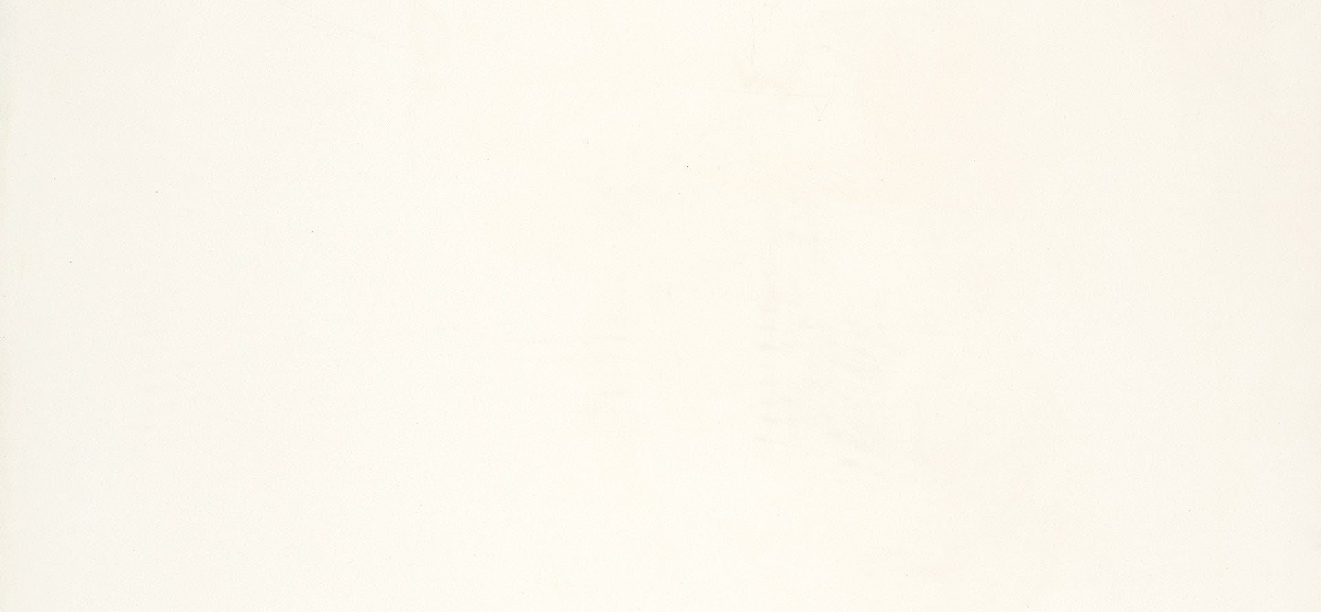 Vivid White 1111