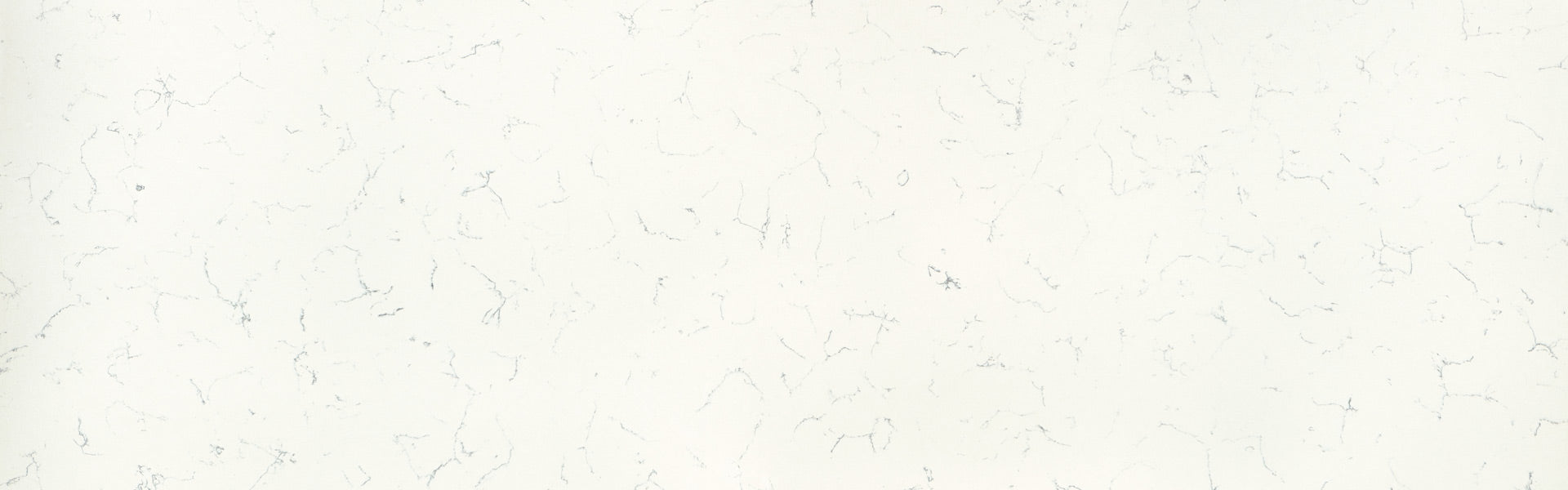 (NEW) Willow White