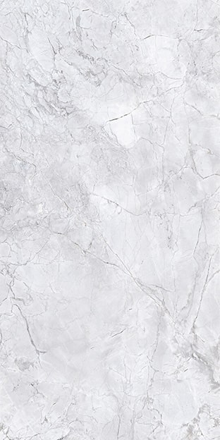 Bahia Silver 127x63 Honed Porcelain Slab 1