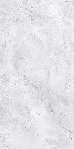 Bahia Silver 127x63 Polished Porcelain Slab 2