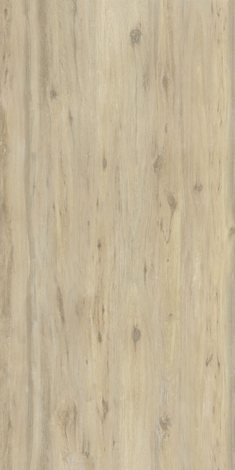 Boreal Sand 127x63 Honed Porcelain Slab 5