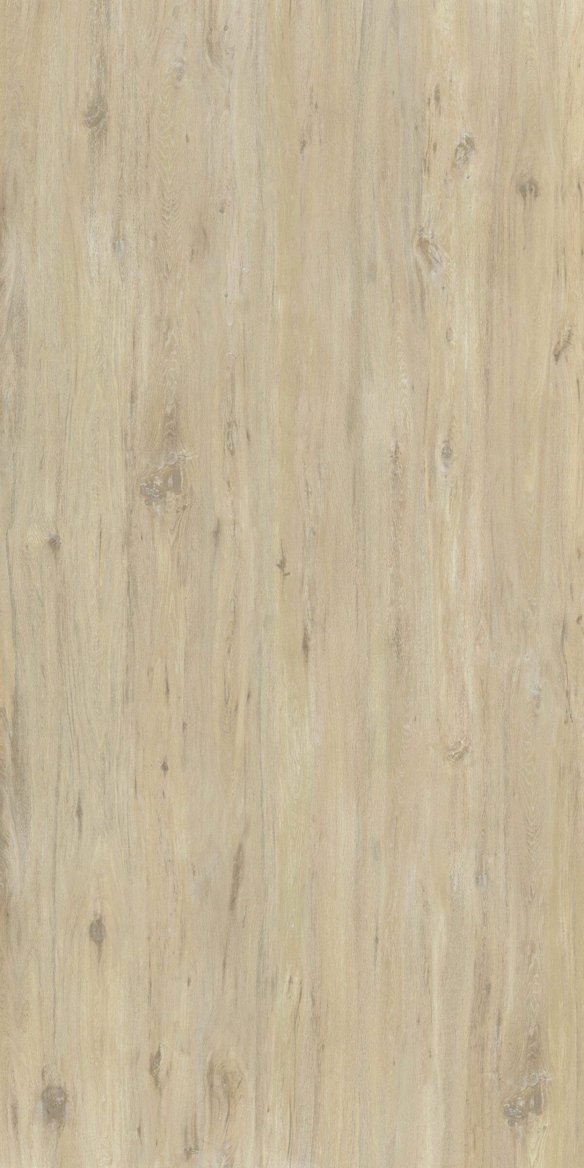 Boreal Sand 127x63 Honed Porcelain Slab 4