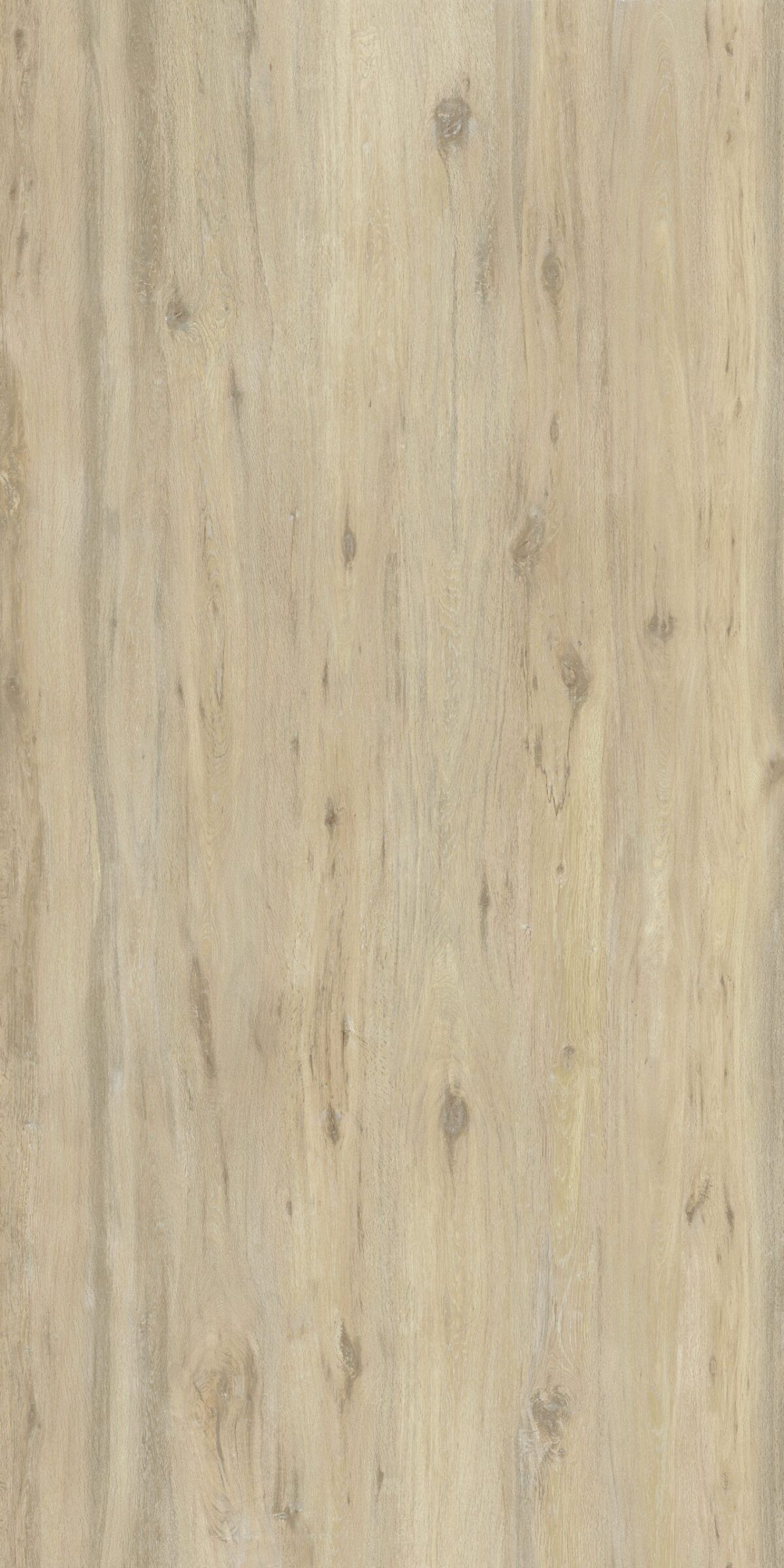 Boreal Sand 127x63 Honed Porcelain Slab 2