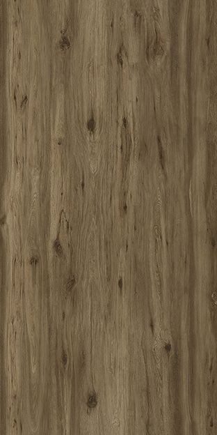 Boreal Umber 127x63 Honed Porcelain Slab 5