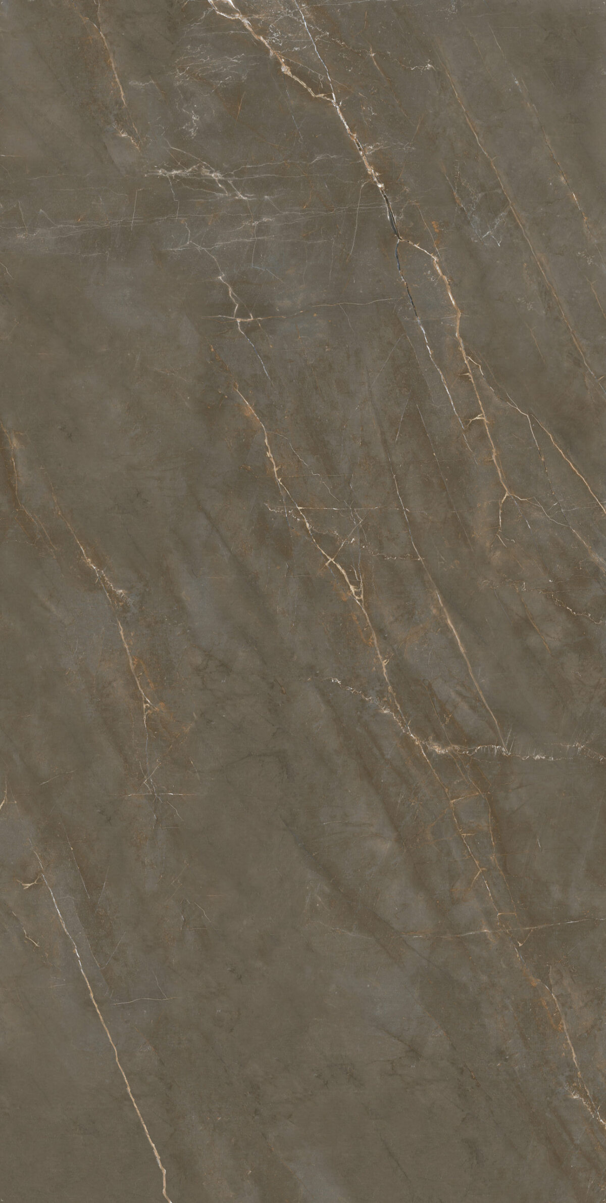 Pulpis 127x63 Polished Porcelain Slab 8