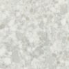 White Pearl 130x63 Quartz Slab 5