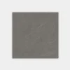 Liem 47x98 Dark Polished Porcelain Tile 0