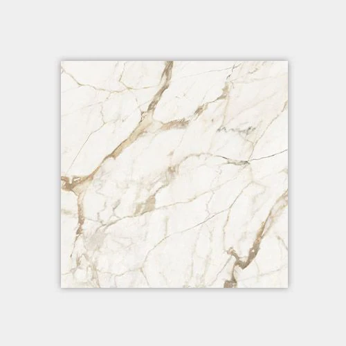 Calacatta Gold 47x47 White Polished Porcelain Tile 0