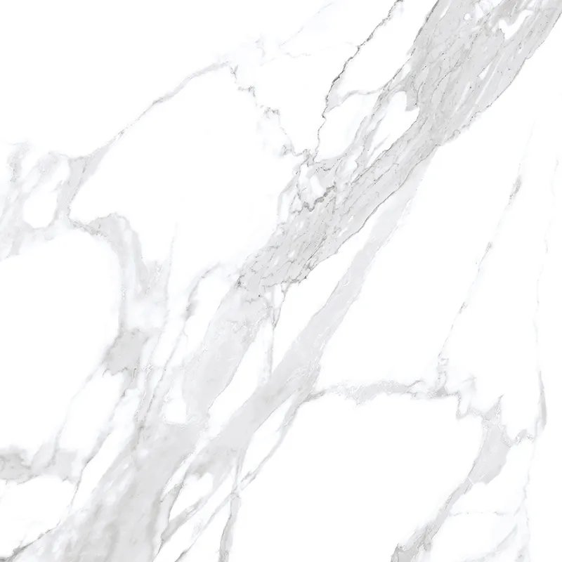 Arya Statuario Leo 24X24 23.6X23.6 Polished Porcelain Tile 4