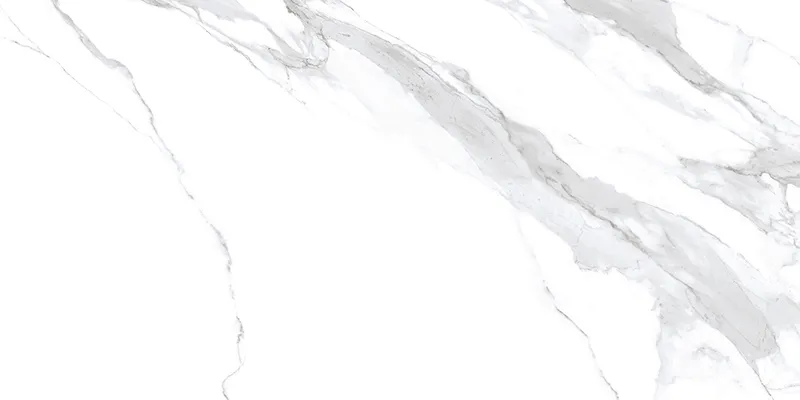 Arya Statuario Leo 24X24 23.6X23.6 Polished Porcelain Tile 5