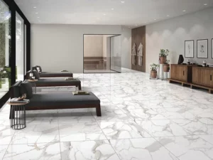 Arya Staturaio Platina 24X24 23.6X23.6 Polished Porcelain Tile 4