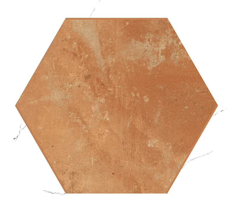 Encadre Cotto 8.66X9.84 Matte Porcelain Tile 5