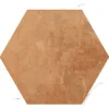 Encadre Cotto 8.66X9.84 Matte Porcelain Tile 3