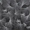 Gingko Black 5.9x5.9 Etched Limestone Mosaic 0