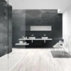 Stellar Steel 1248 11.8X47.2 Matte Porcelain Tile 4