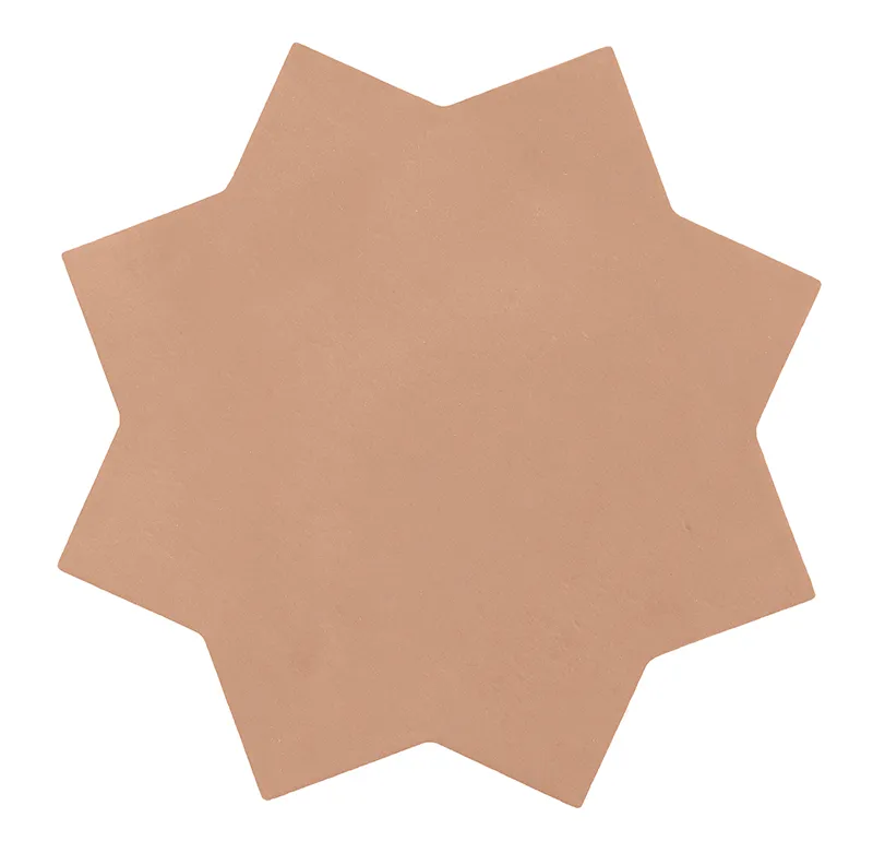 Tangier Star Cotto 6.6X6.6 Matte Porcelain Tile 5