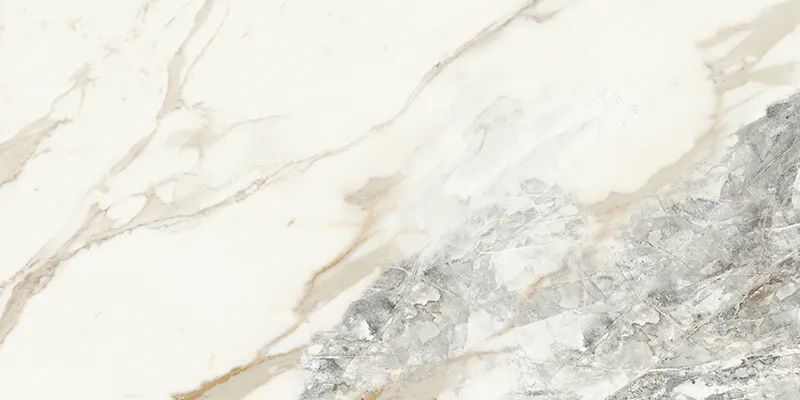 Athabasca Glacier 24X48 47.25X23.6 Brushed Porcelain Tile 1