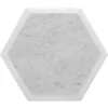 Tacoma Park 12 Polished Marble Tile 0