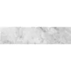 Etched Alligator Carrara 3x12 Textured Bianco Tile 0