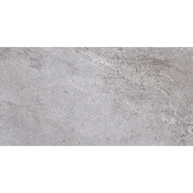 Envogue Gris 12.6X24.6 Matte Porcelain tile 0