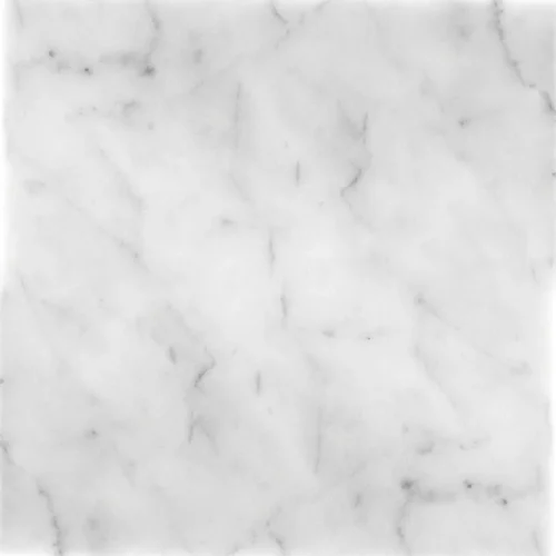 Carrara 12X12 H Honed Marble Tile 0