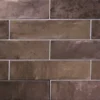 Galvanta Bronze 2.5X9.84 Matte Porcelain Tile 1