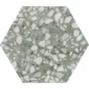 Hexa Terrazzo Sage 9.05X10.63 Matte Porcelain Tile 1