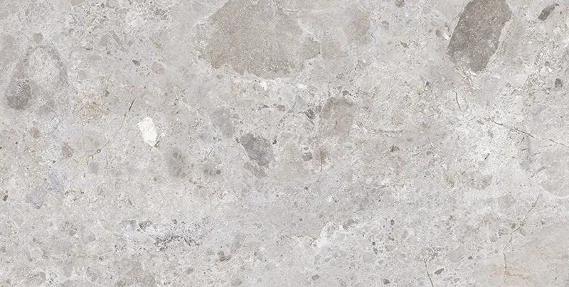 Imperial Petra Grey 23.6X47.2 Matte Porcelain Tile 8