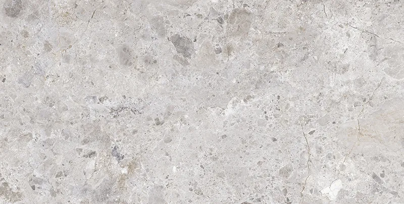 Imperial Petra Grey 23.6X47.2 Matte Porcelain Tile 3