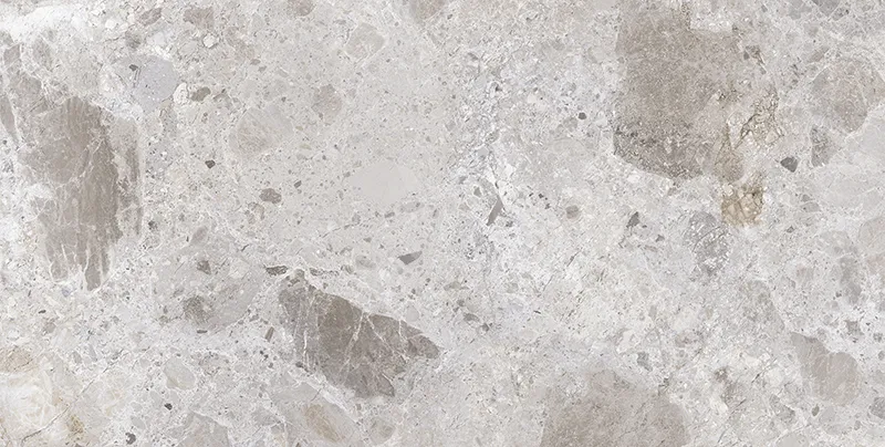 Imperial Petra Grey 23.6X47.2 Matte Porcelain Tile 2