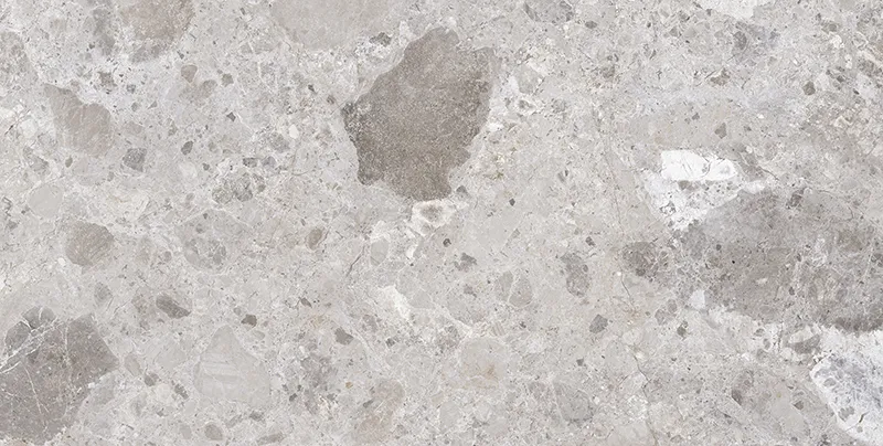 Imperial Petra Grey 23.6X47.2 Matte Porcelain Tile 5