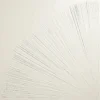 Impressions Dandelion 35.67X35.67 Glossy Porcelain Tile 0