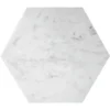 Carrara Hex 10X10 Honed 10 Bianco Tile 1