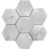 Carrara Hex 4X4 Honed Bianco Mosaic 1