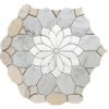 Merletto Beige 10.4X12 Polished Shadow Limestone, Oxford Grey, Thassos, Shell, Calacatta, Carrara Tile 4