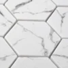 Hummock Hex 10.2X11.7 Matte Recycled Glass Tile 1