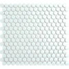 Daylight Stardust 0.75X0.75 Glossy Porcelain mosaic 1