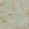 Rococo Green 24X24 23.44x23.44 Natural Porcelain Tile 0