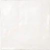 Silk Shiro 2.5X8 2.58X7.9” Matte, Glossy Ceramic tile 0