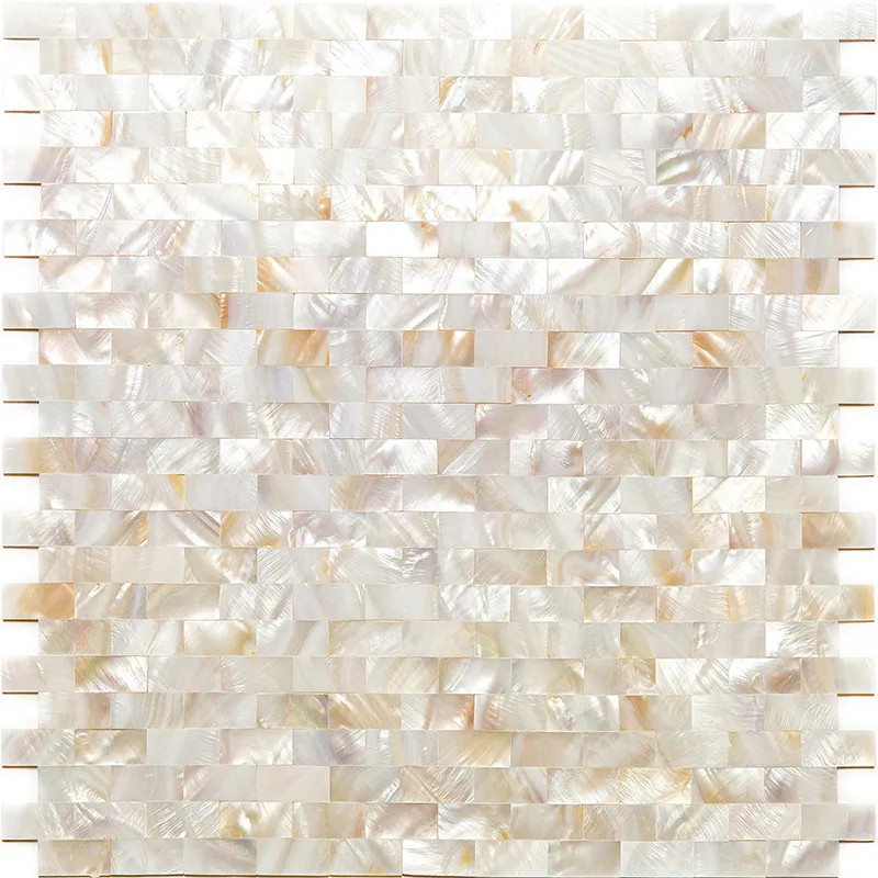 Daytona Beach 0.5X1 Polished Shell Mosaic 0